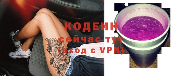 шишки Балабаново