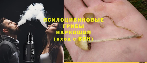 шишки Балабаново